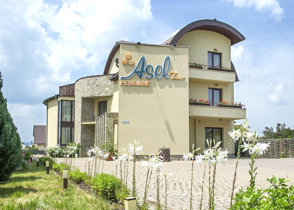 Aseltur Brasov Hotell Exteriör bild